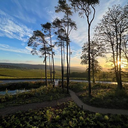 Loisium Wine & Spa Hotel Champagne Mutigny Bagian luar foto