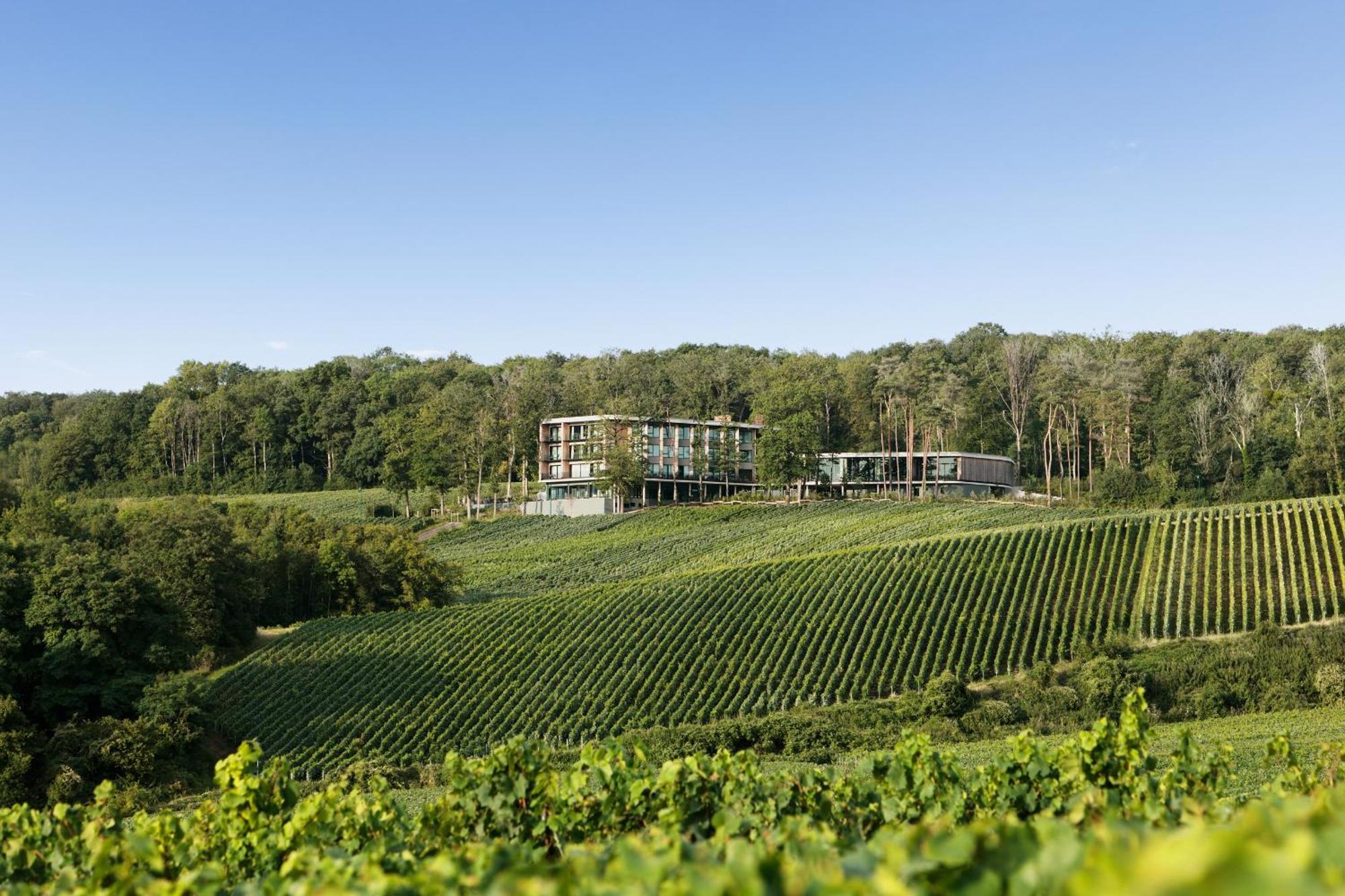 Loisium Wine & Spa Hotel Champagne Mutigny Bagian luar foto