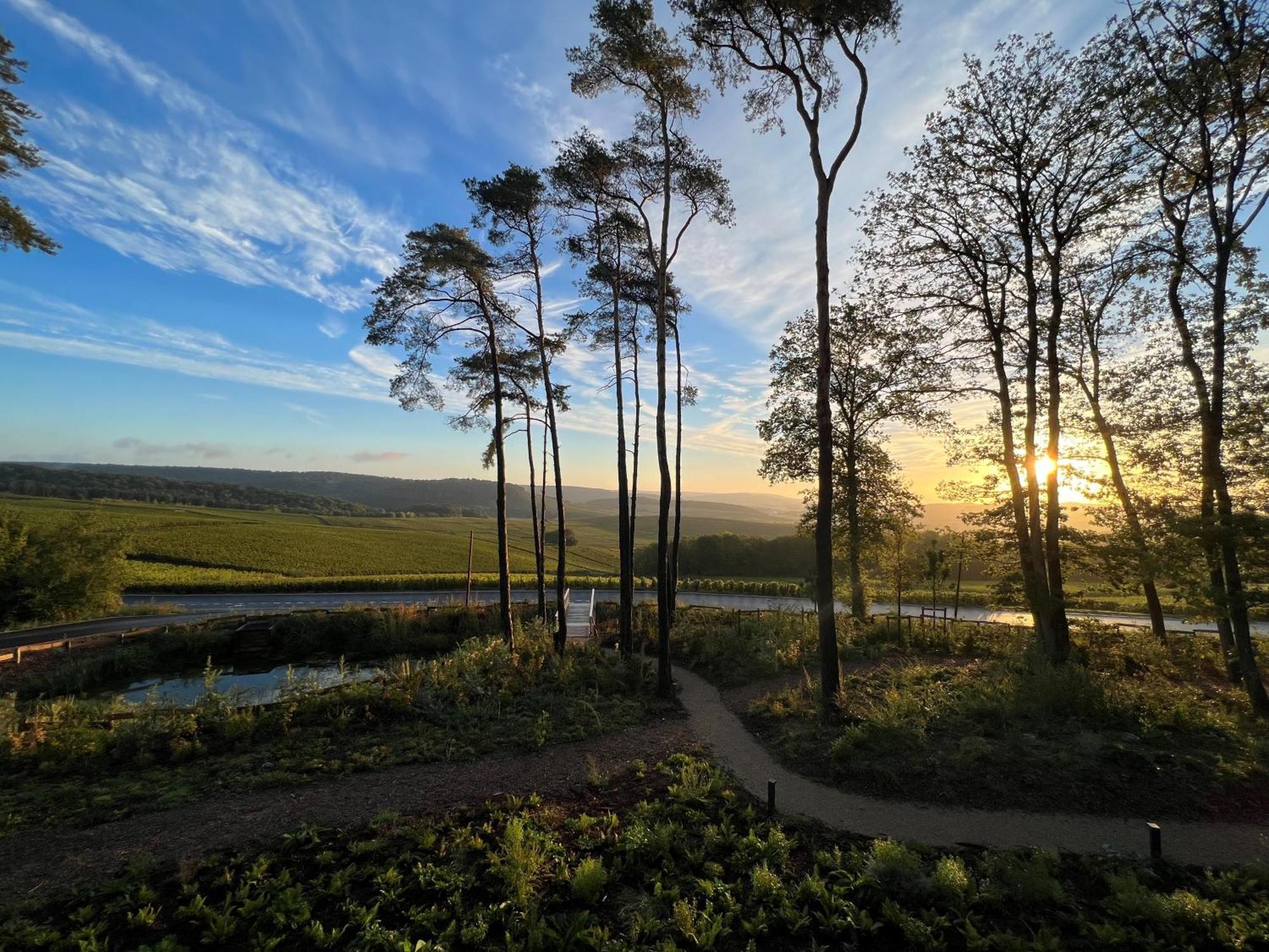 Loisium Wine & Spa Hotel Champagne Mutigny Bagian luar foto